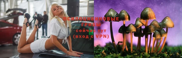 Альфа ПВП Абдулино